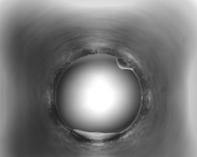 X0000089440965200706221226