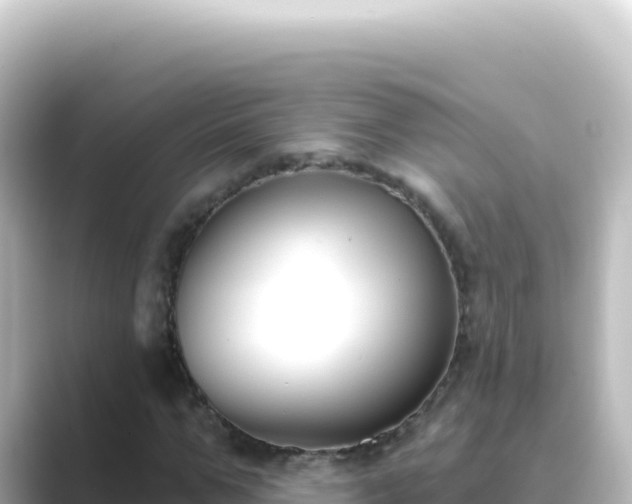 X0000089440967200706221226