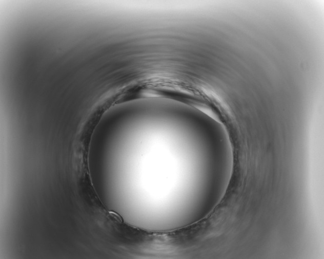 X0000089440968200706221226