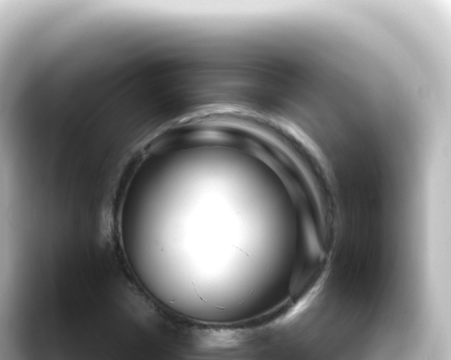 X0000089440969200706221226