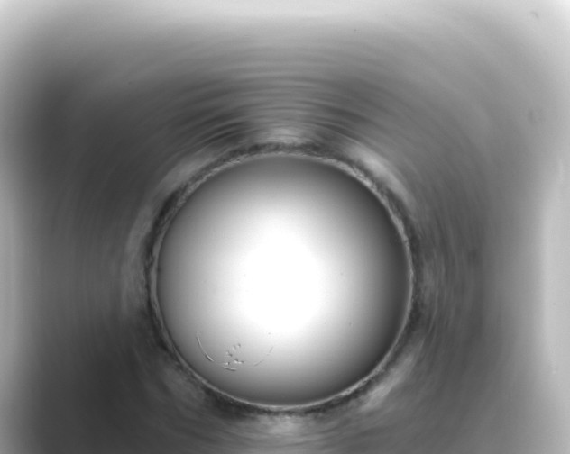 X0000089440970200706221226