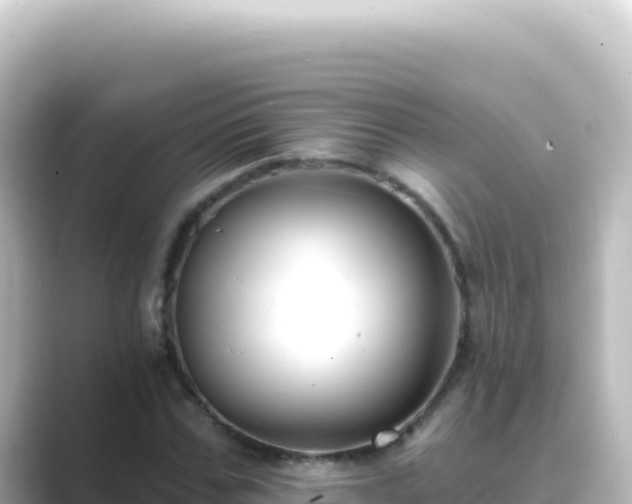 X0000089440971200706221226