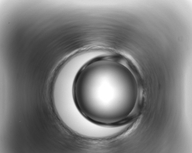 X0000089440973200706221226