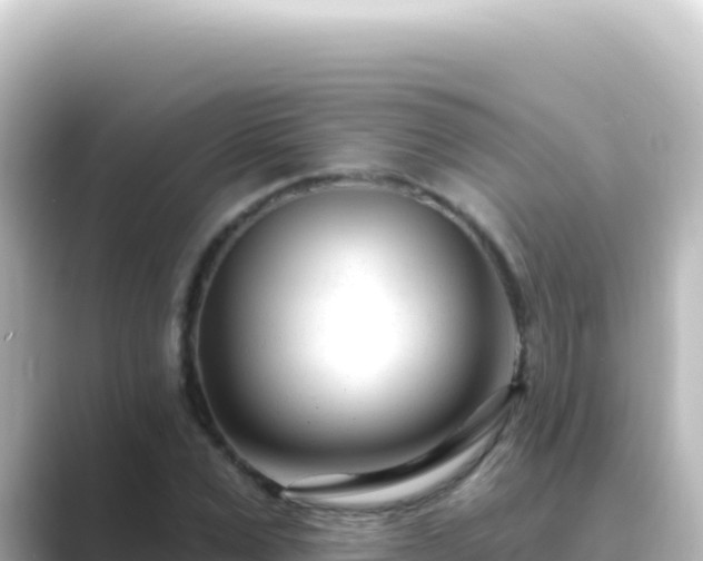 X0000089440975200706221226