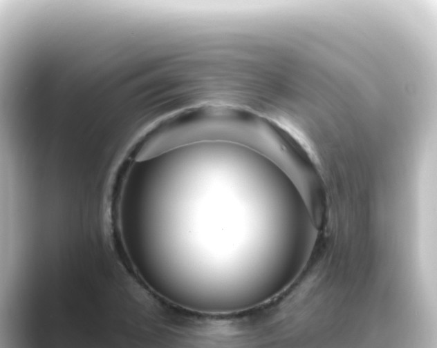 X0000089440976200706221226