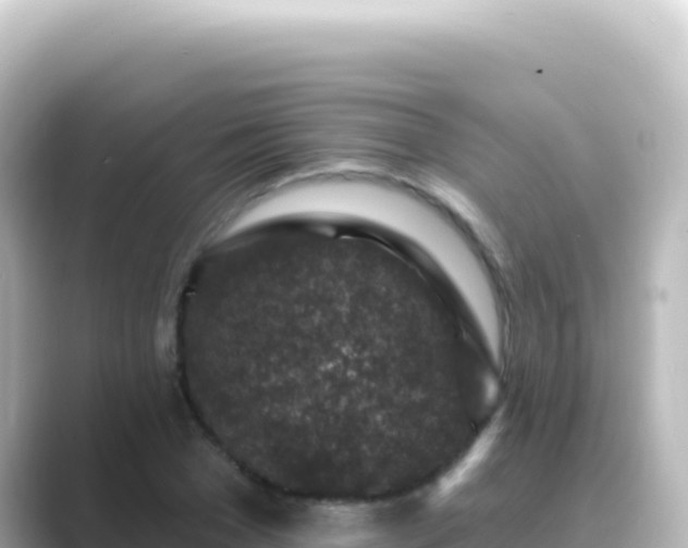 X0000089440977200706221226