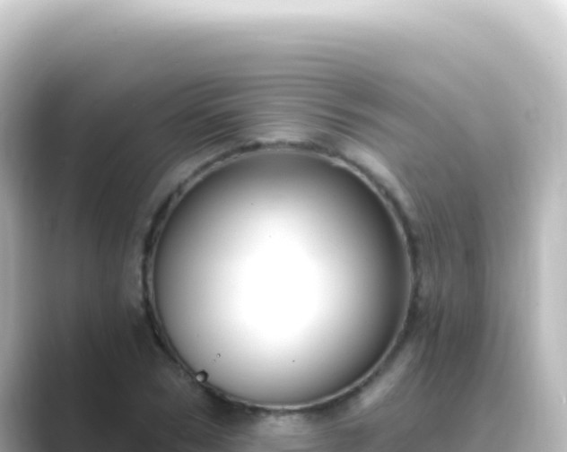 X0000089440978200706221226