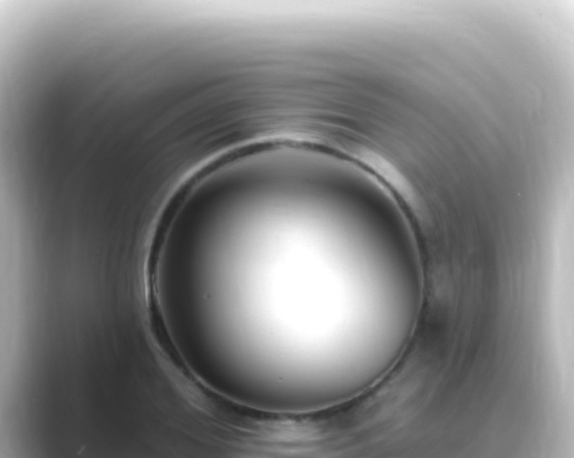 X0000089440980200706221226