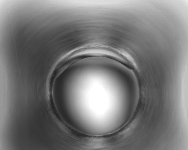 X0000089440981200706221226