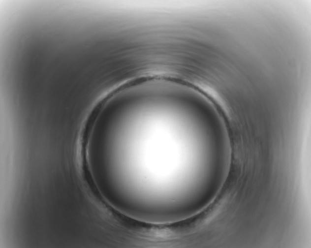 X0000089440983200706221226