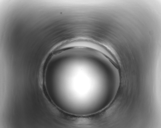 X0000089440984200706221226