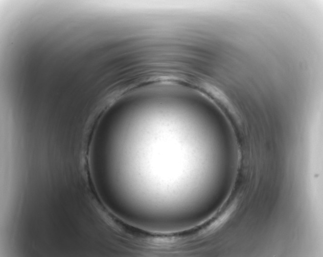 X0000089440985200706221226