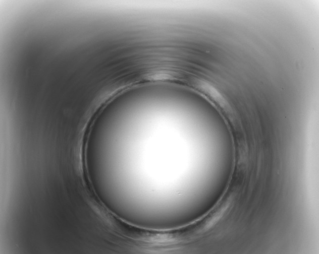 X0000089440986200706221226