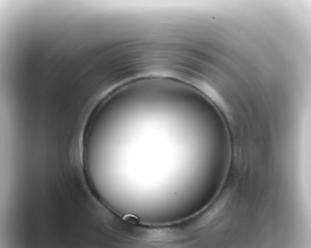 X0000089440988200706221226