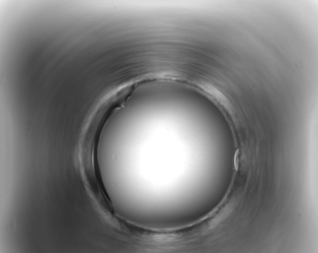 X0000089440989200706221226