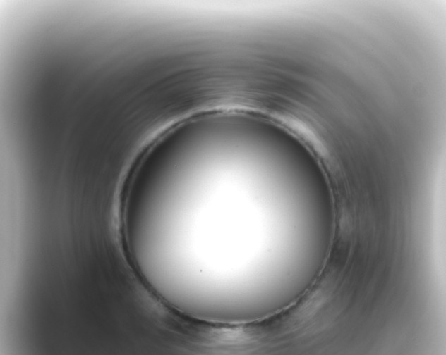 X0000089440990200706221226