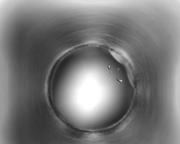 X0000089440991200706221226
