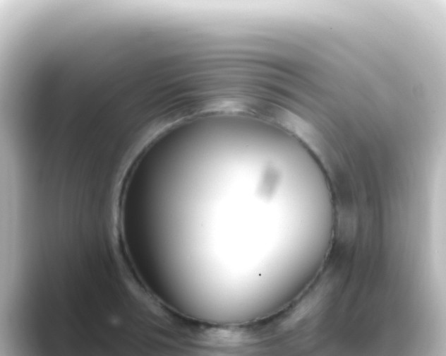X0000089440994200706221226