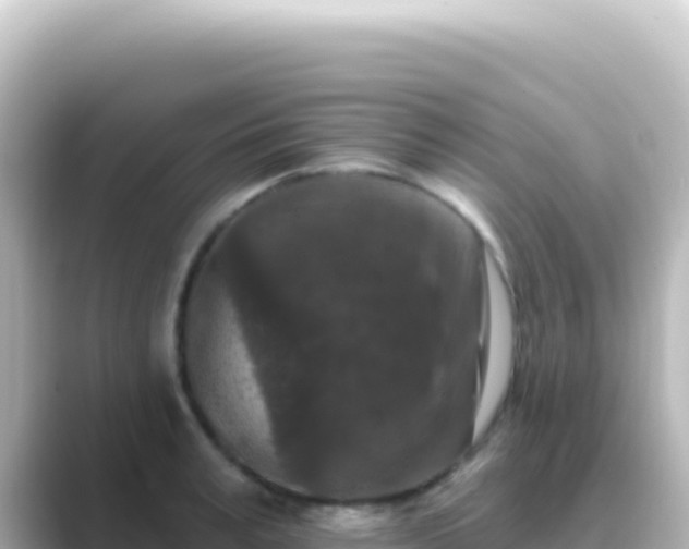 X0000089440995200706221226