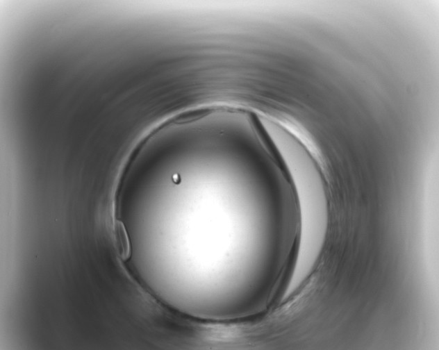 X0000089440996200706221226