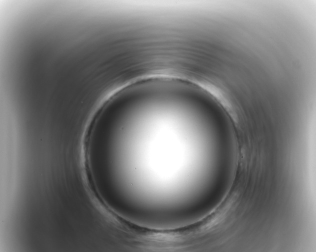 X0000089440998200706221226