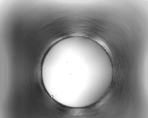 X0000089441000200706221226