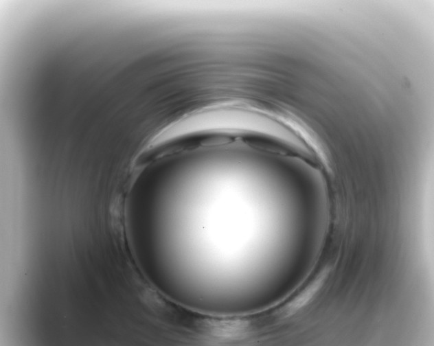 X0000089441001200706221226