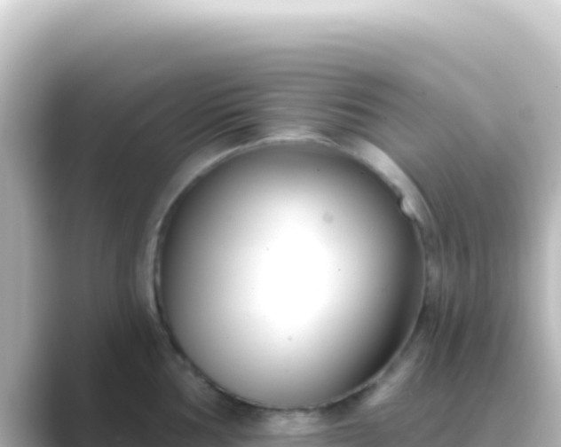 X0000089441002200706221226