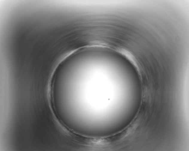 X0000089441003200706221226