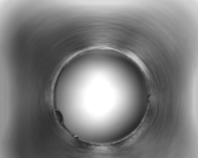 X0000089441004200706221226