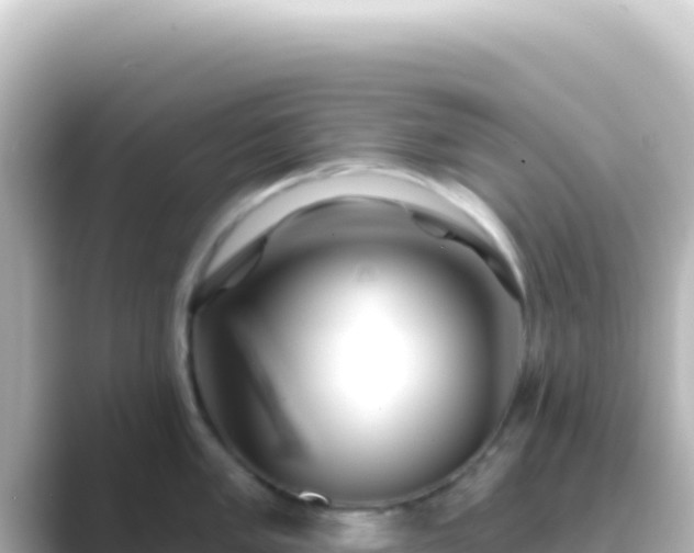 X0000089441005200706221226