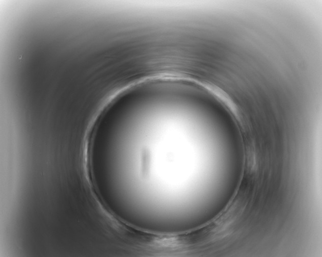 X0000089441006200706221226