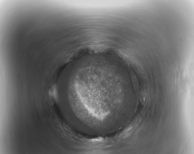 X0000089441010200706221225