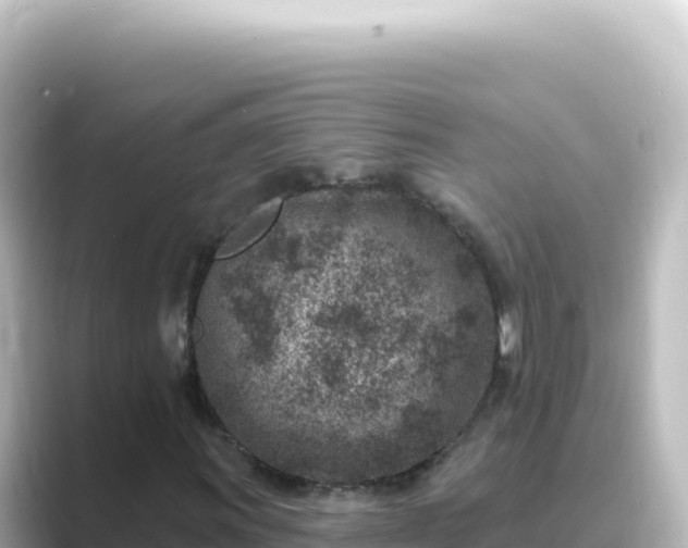 X0000089441011200706221225