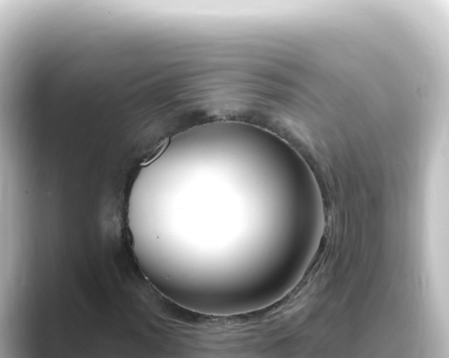 X0000089441012200706221225