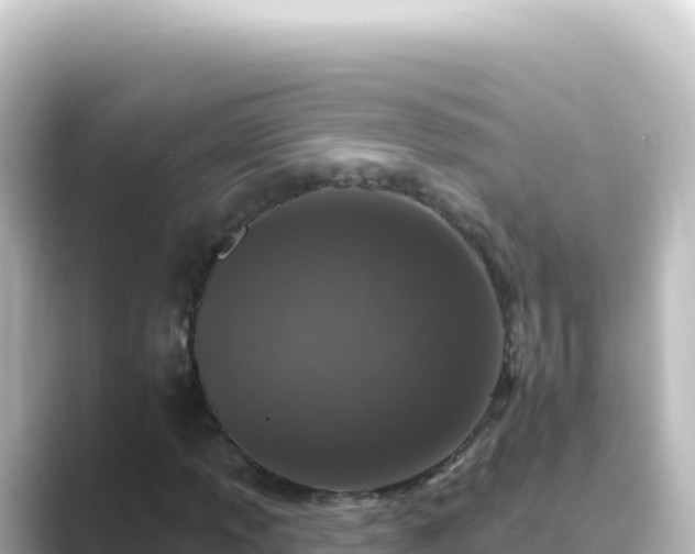 X0000089441013200706221225