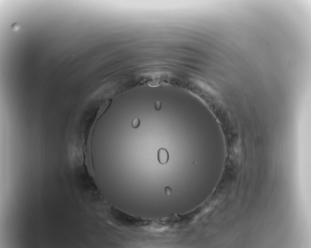 X0000089441014200706221225