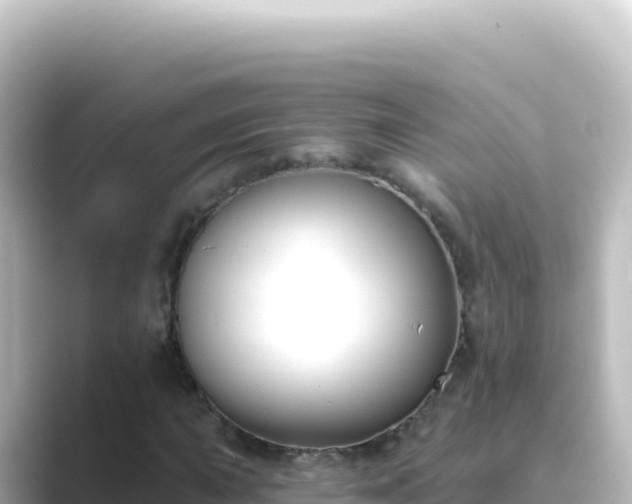 X0000089441015200706221225