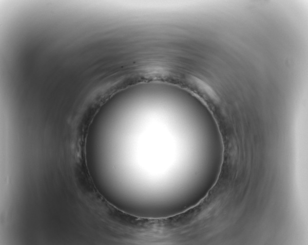 X0000089441016200706221225