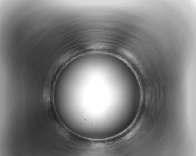 X0000089441017200706221225
