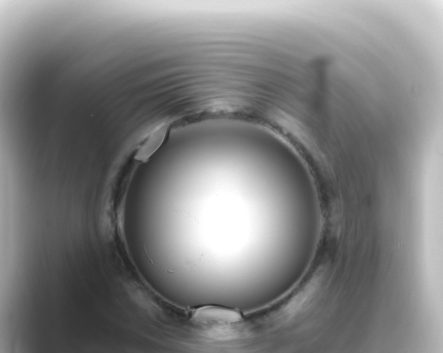 X0000089441018200706221225