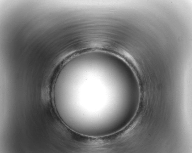 X0000089441019200706221225
