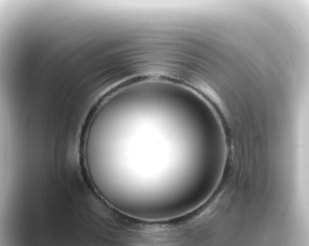X0000089441020200706221225