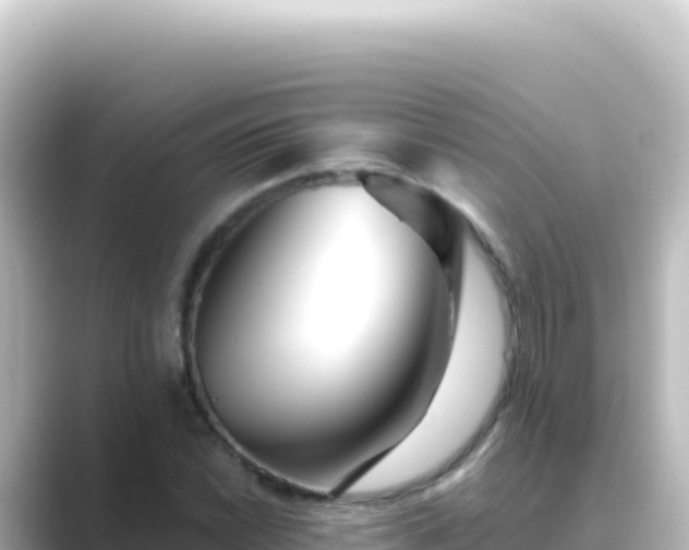 X0000089441022200706221225