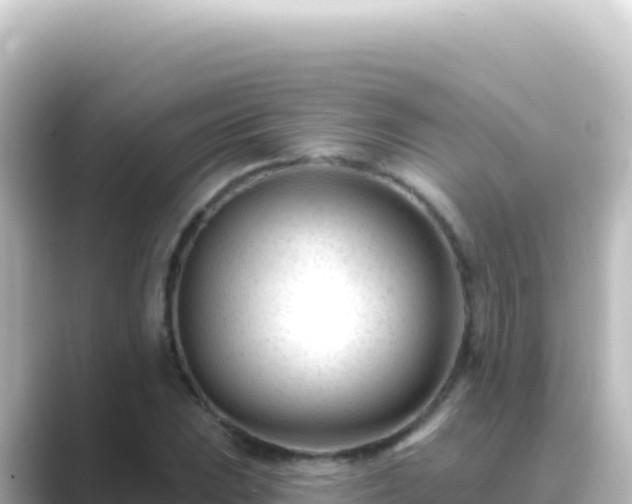 X0000089441023200706221225