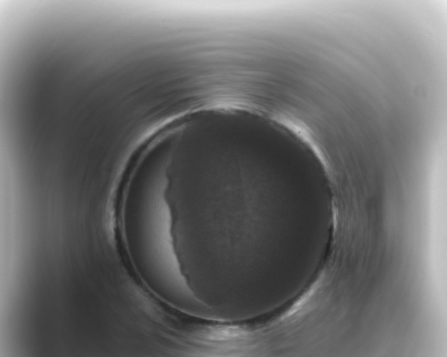 X0000089441024200706221225