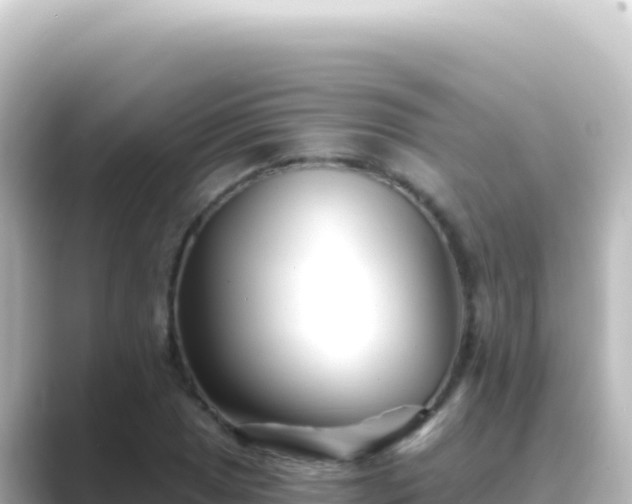 X0000089441025200706221225