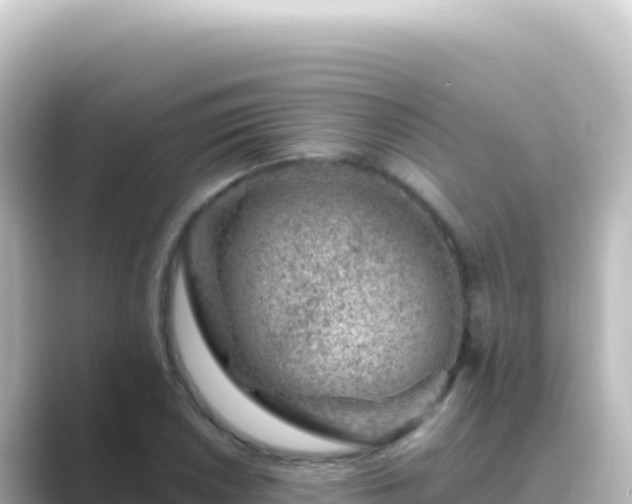 X0000089441026200706221225