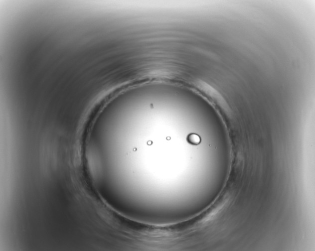 X0000089441027200706221225