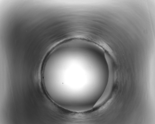 X0000089441028200706221225